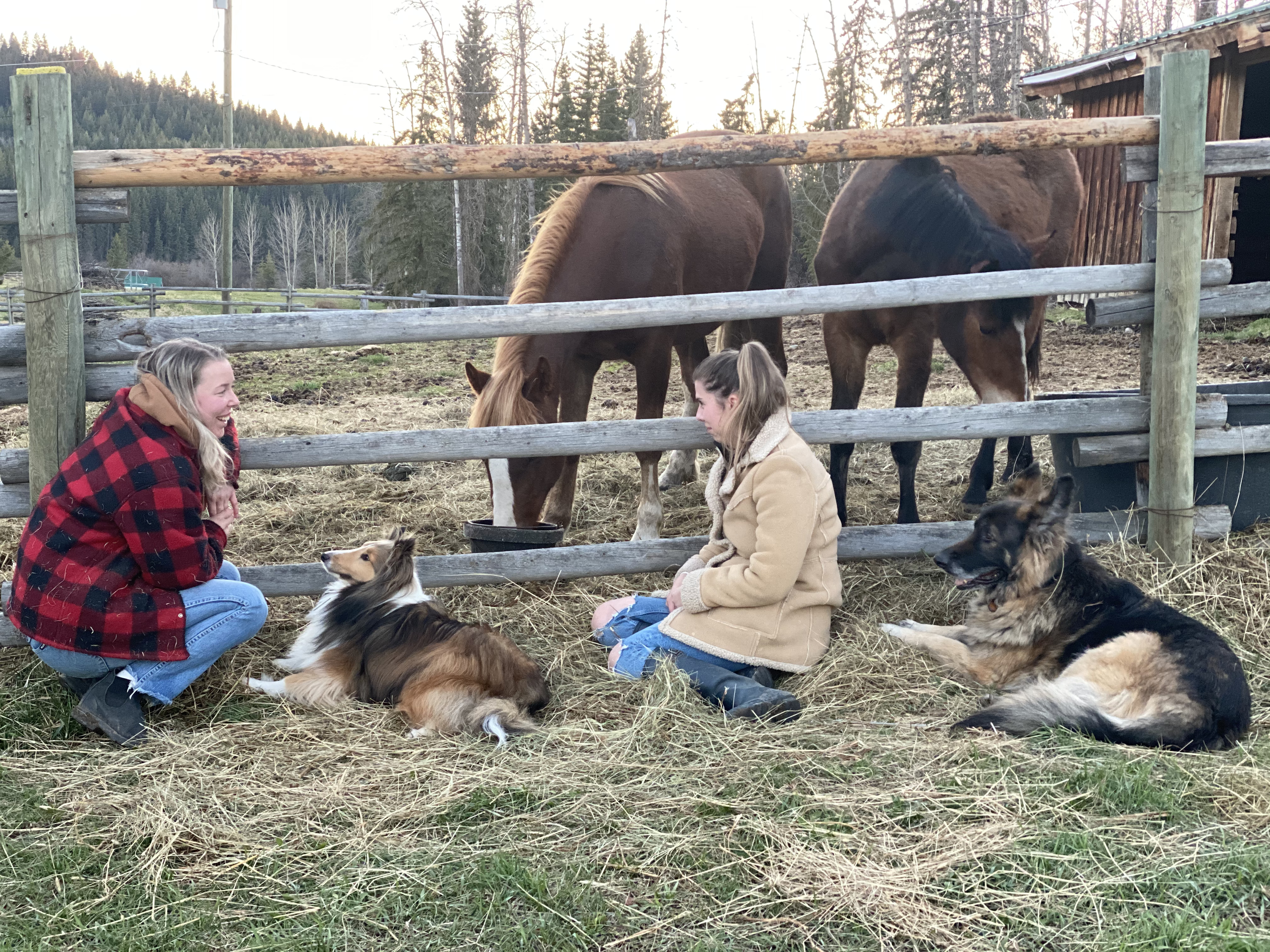 Founders kneeling with horses and dogs